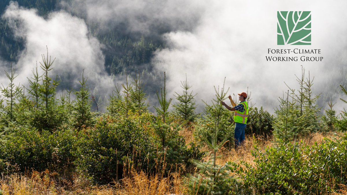 Forest-Climate Working Group tweet media