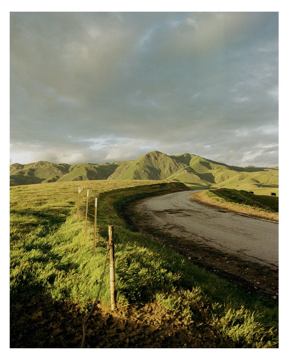 earth day from bakersfield ca, shot on 120 film #mamiya7
