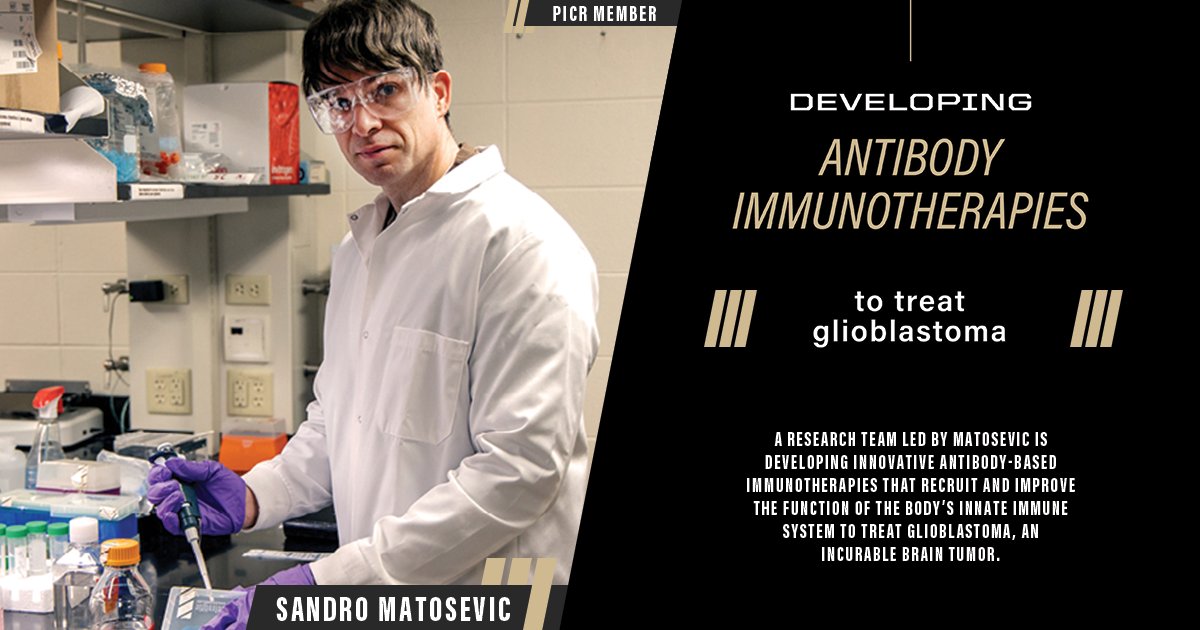 Purdue Institute for Cancer Research (@pucancerinst) on Twitter photo Glioblastoma is an incurable brain tumor that has long resisted standard treatments — but researchers at <a href="/LifeAtPurdue/">Purdue University</a> are working toward a new possibility.
Sandro Matosevic, a <a href="/PUCancerInst/">Purdue Institute for Cancer Research</a> member and associate professor in <a href="/purduepharmacy/">Purdue Pharmacy</a>, is developing patent-pending Glioblastoma is an incurable brain tumor that has long resisted standard treatments — but researchers at <a href="/LifeAtPurdue/">Purdue University</a> are working toward a new possibility.
Sandro Matosevic, a <a href="/PUCancerInst/">Purdue Institute for Cancer Research</a> member and associate professor in <a href="/purduepharmacy/">Purdue Pharmacy</a>, is developing patent-pending