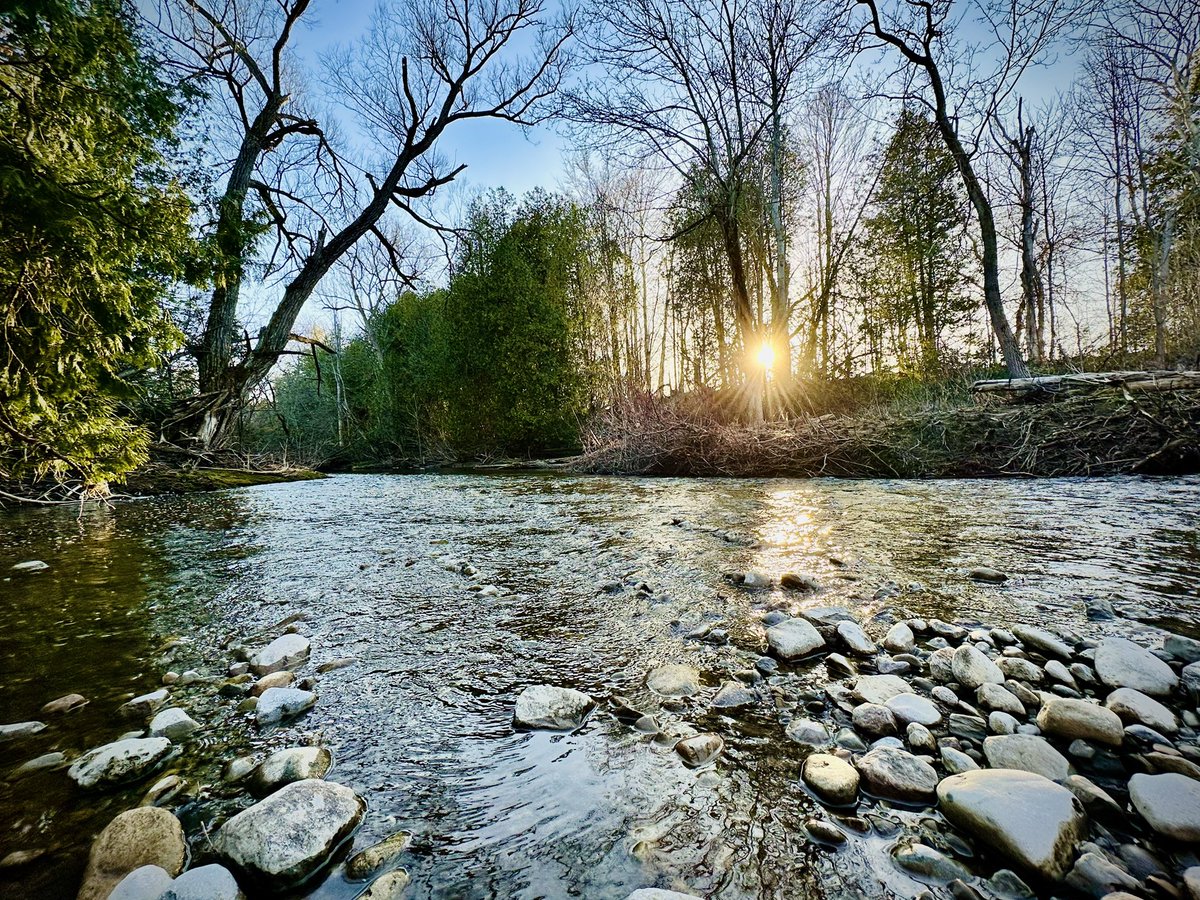 Happy #EarthDay2025 from the Pickering Lands, where every day is Earth Day, but this one feels particularly sparkly and bright! 

#WestDuffinsCreek
#ExpandRNUP
#NorthPickeringFarms
#CdnPoli
