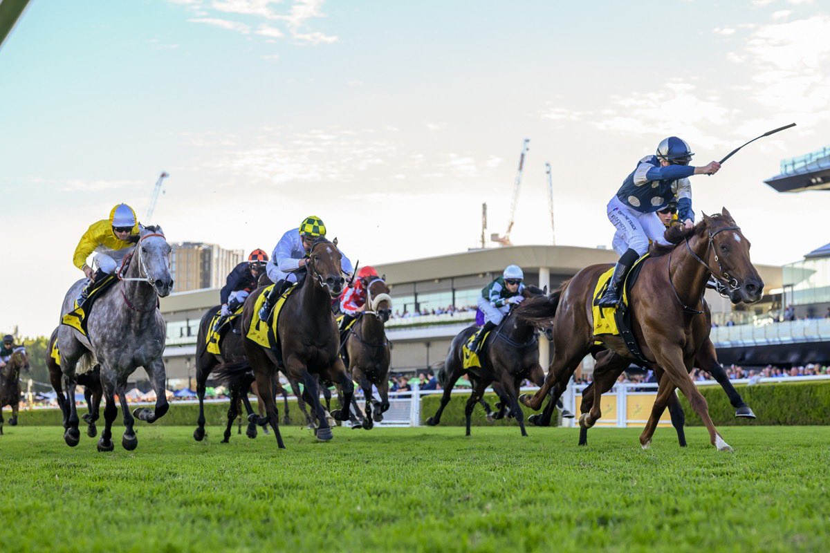 Racing NSW tweet media