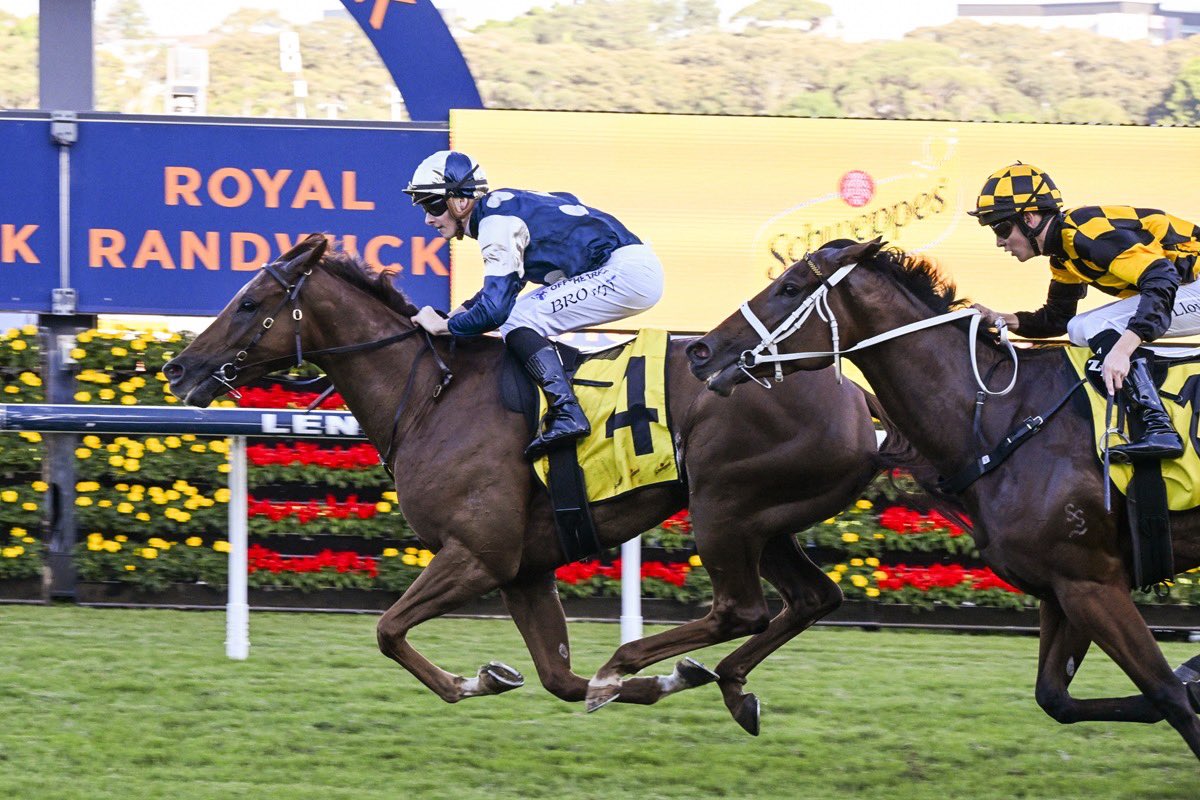Racing NSW tweet media