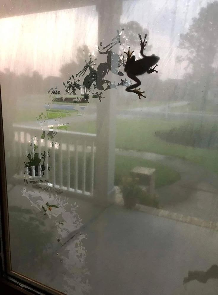 entropy (@ennntropy) on Twitter photo 