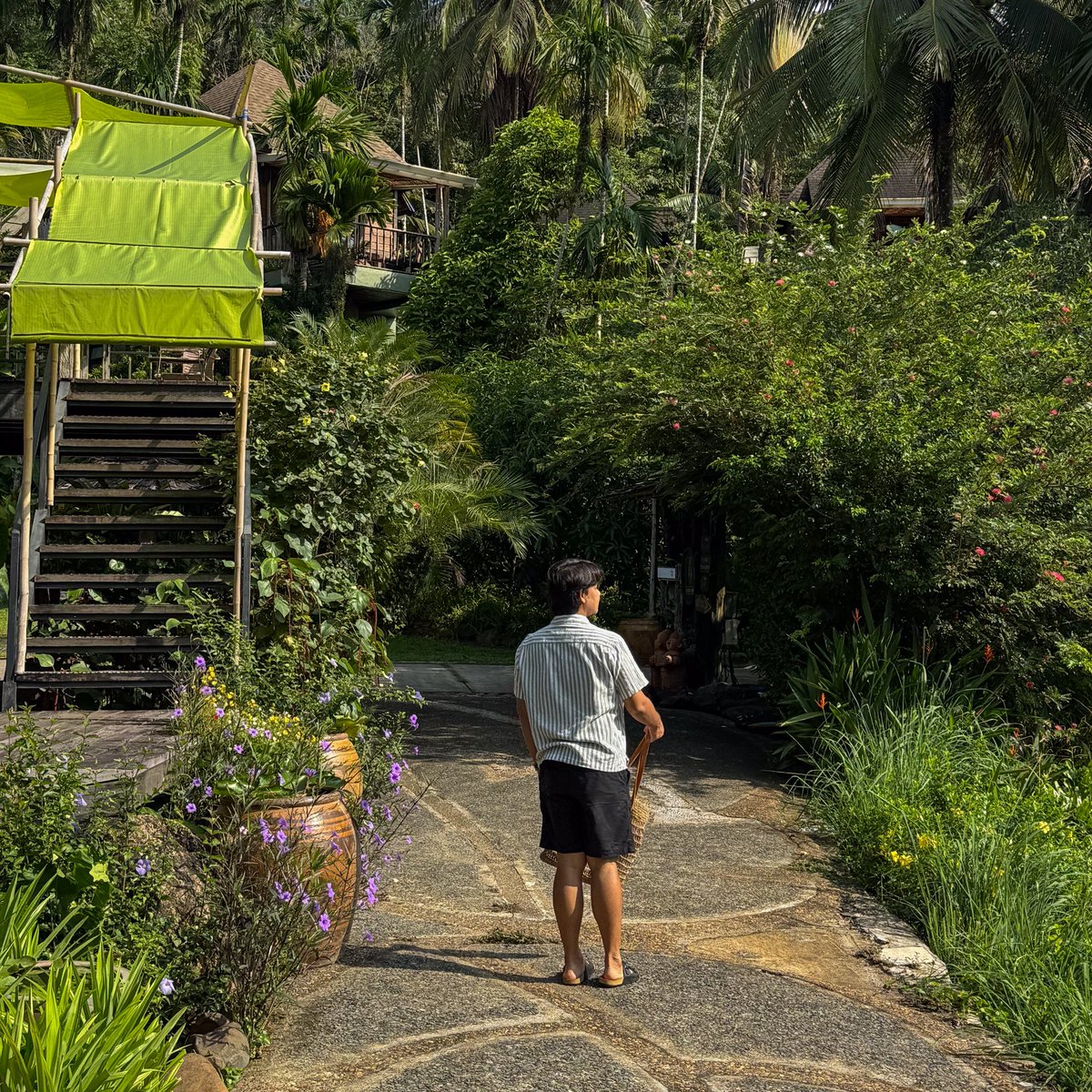 ที่พักสไตล์บาหลีสุดชิล
วิวกลางหุบเขาสุดฮีลใจ #เกาะช้าง 🌴⛰️🍃

📍The Spa Koh Chang Resort
<a href="/Review_Thailand/">รีวิวไทยเเลนด์</a> 
#ที่พักเกาะช้าง #รีวิวที่พัก #เที่ยวเกาะช้าง #ตราด #วิศวะพาเที่ยว