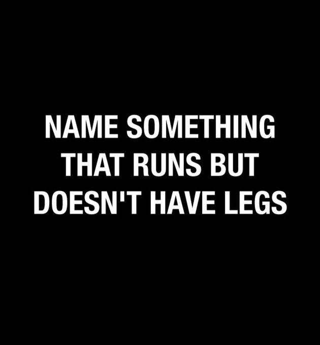 MAGA GIRL tweet media