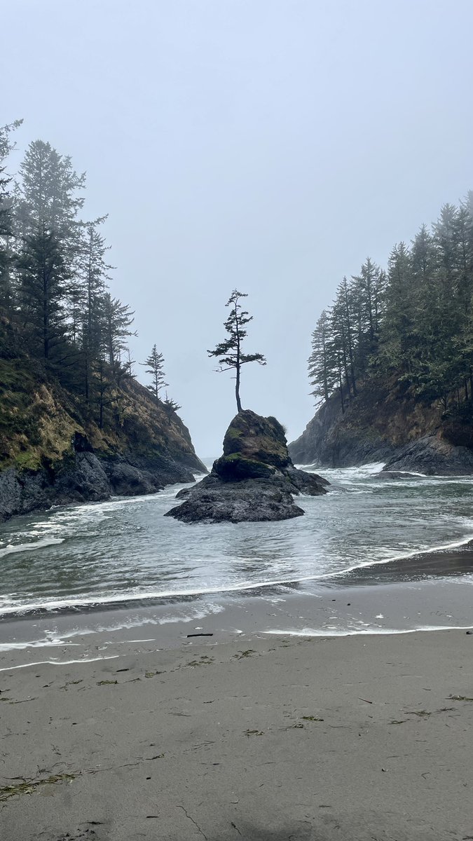 There’s no place like WA State.

9,000+ miles of trails
100+ state parks
 3 national parks
8,000+ lakes
3,000 miles of coastline
10 million+ acres of forestland

It’s wild. It’s breathtaking.
And worth protecting.

Happy #EarthDay Day. 🌎
I’m so lucky to call this home. 💕