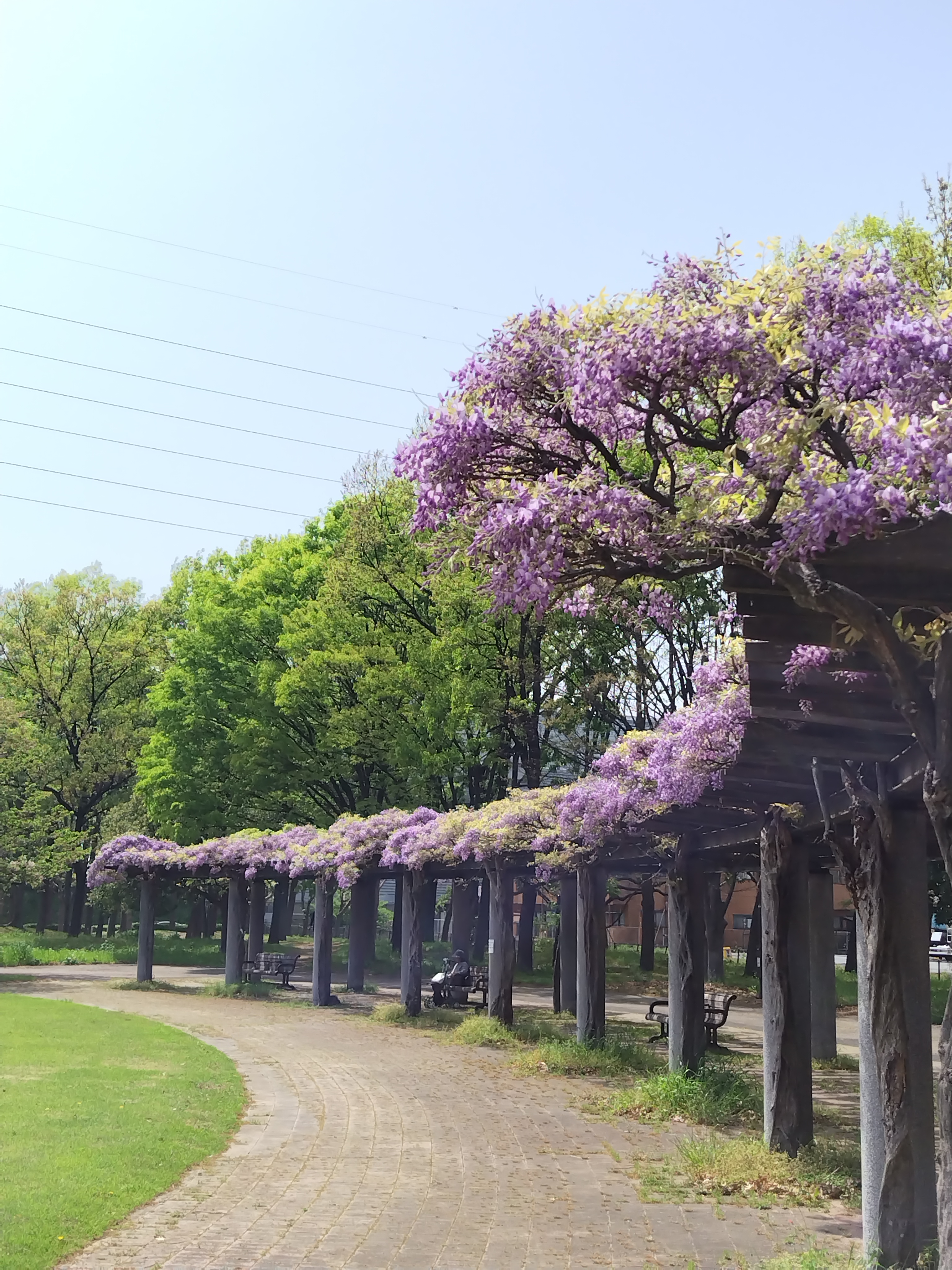 都立水元公園 (@ParksMizumoto) / X