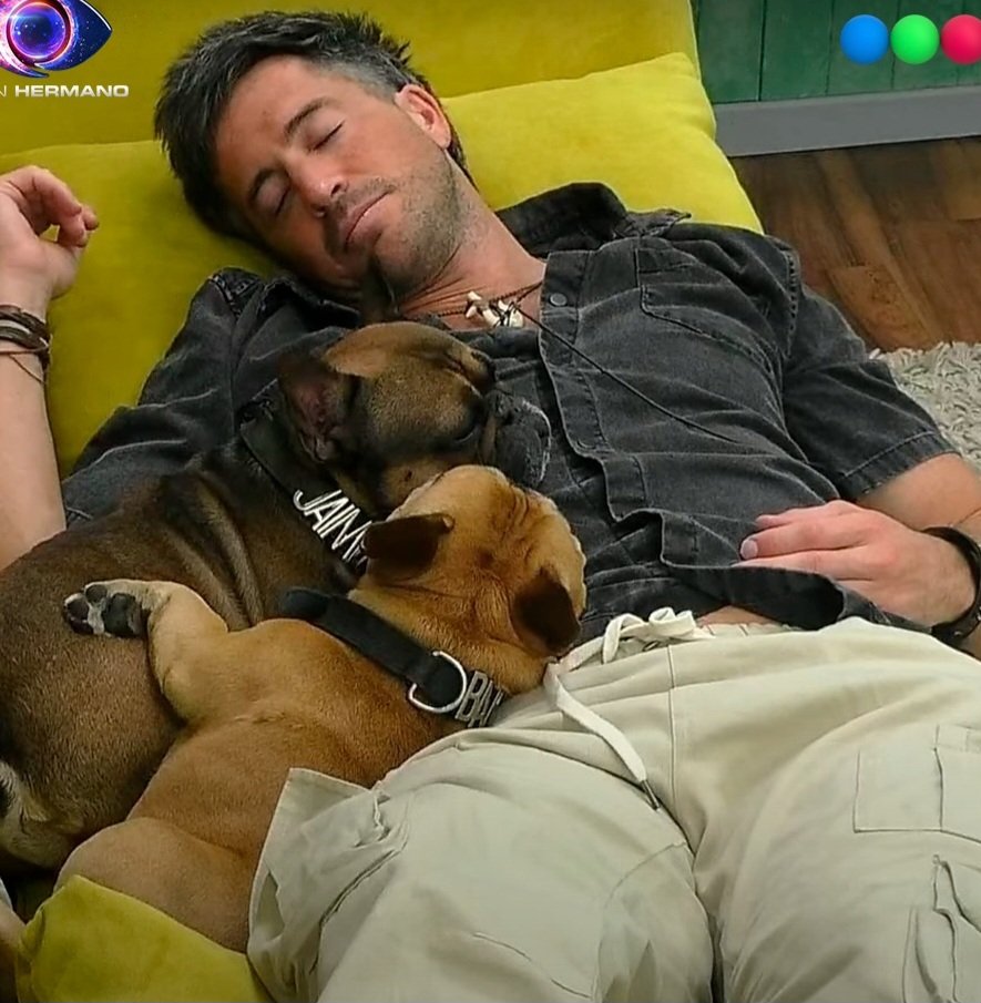 DEVINETA245's tweet photo. Devi con sus cachorros ❤️🥺
#GranHermano 
#GranHermanoArgentina 
#GH2025 
#GranHermano2025 https://t.co/PjaUphP1Am