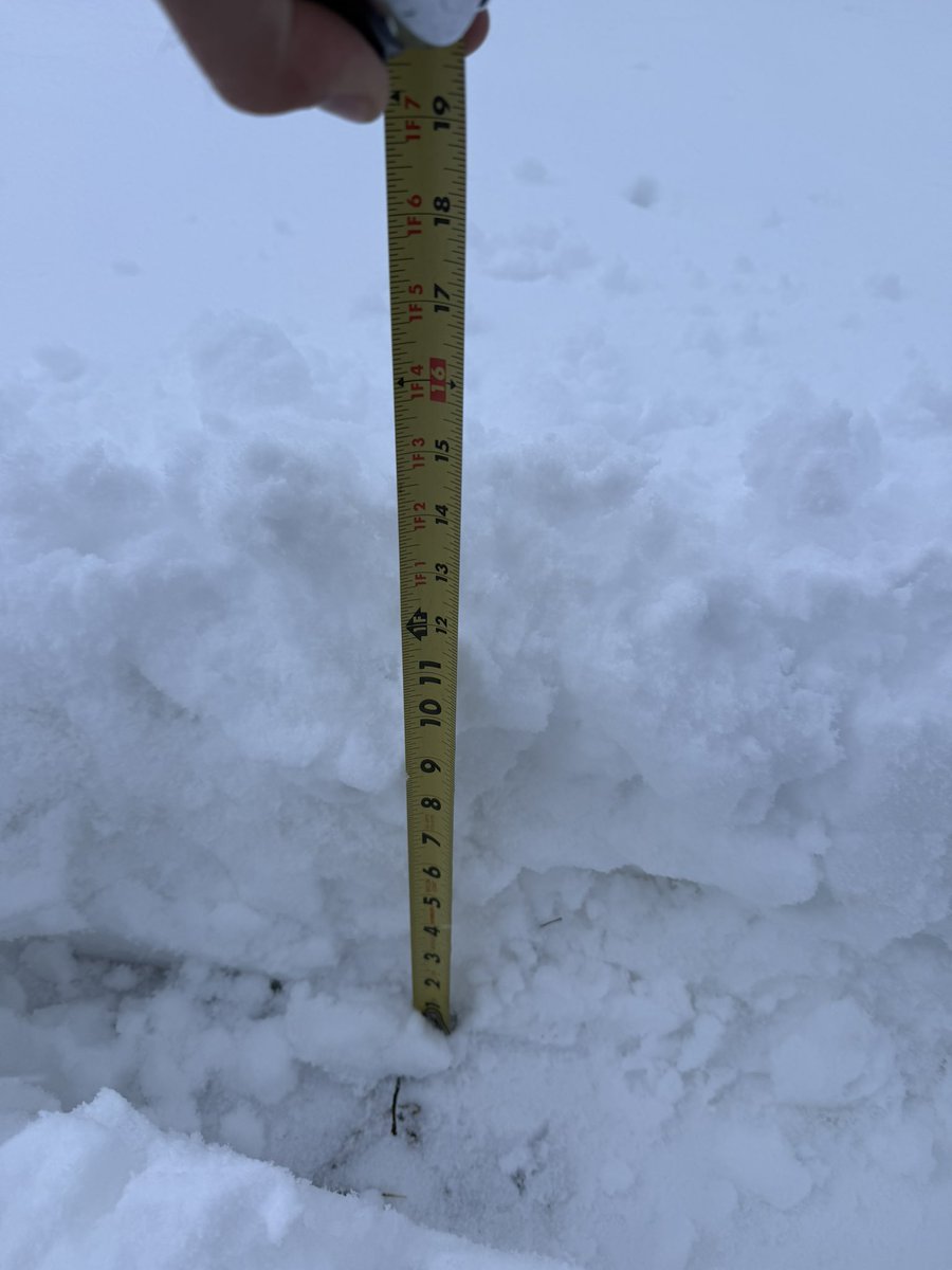 Matt Yanick tweet media