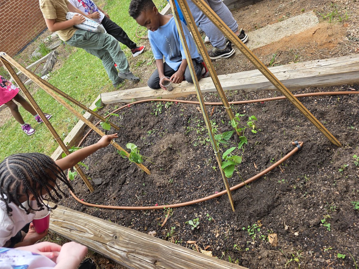 MrsManning517's tweet photo. Happy Earth Day! Ms. Foster  helped our class plant our green beans in the garden that we started growing in the classroom @HES_HCS @mrsj_cohen @michellewil2 #oneteam #winningforkids https://t.co/UE8VYWCMjB