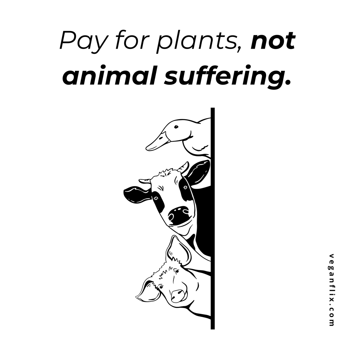 Most of Society: Being kind is important. 🙃

You: So true. That’s why I don’t want to support an industry that t$rtures and k$lls billions of innocent animals every year.

Society: Wait that’s not—

#vegan #animallovers #animalrights #realtalk
