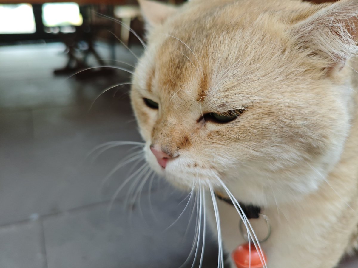Betrayto's tweet photo. hello～ https://t.co/c08Gg6tF59