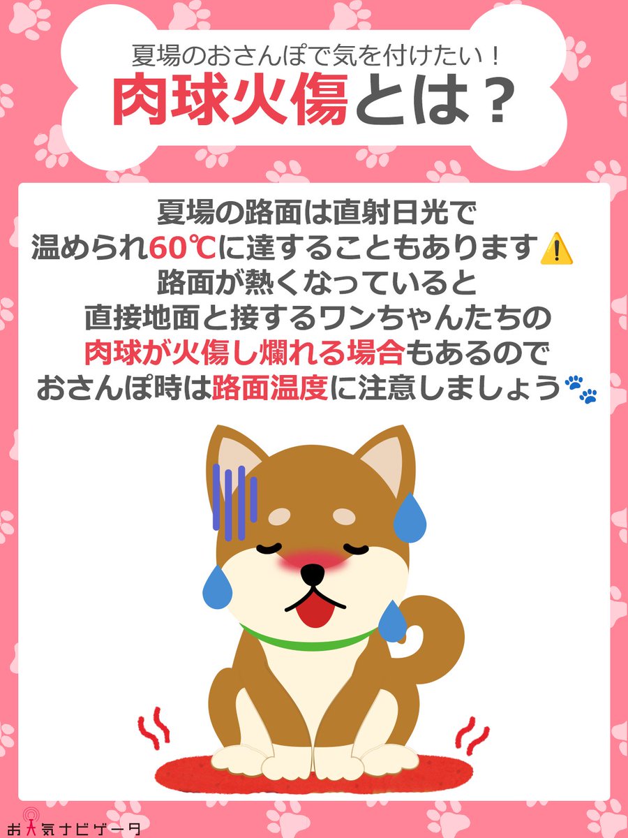 ご回答いただきありがとうございました✨
やはり大半の方が
地面の熱さが気になっていたんですね💦

晴れた日の #アスファルト は
この時期でも50℃を超える場合もあります🥵
人間も裸足だったら立っていられないですよね💦

大切な #愛犬 が #肉球火傷 にならないように
#路面温度 をチェックしたり