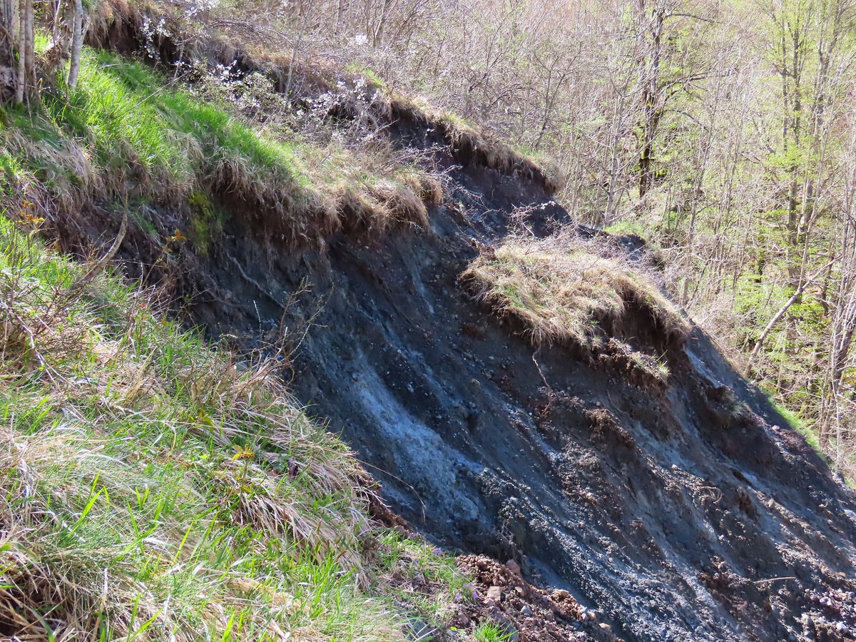 ⚠️ Si informa che un tratto dell’Anello 1 del Cereghetto è attualmente impraticabile-segmento che dal bivio A1 conduce alla cascata della Ravezza
Vi terremo aggiornati su eventuali sviluppi e sulla riapertura del sentiero
Ci scusiamo per il disagio