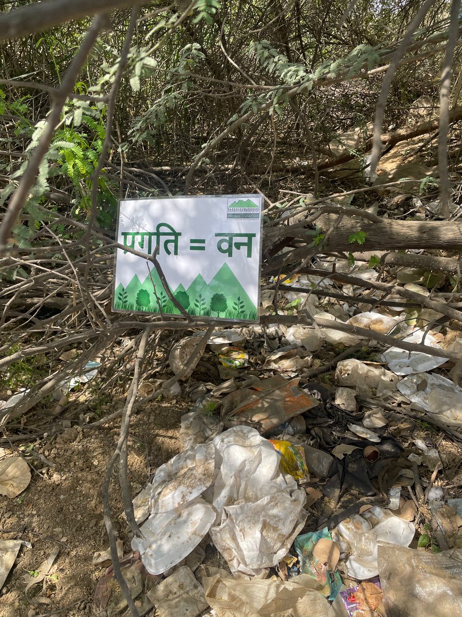 Anu P.D. tweet media