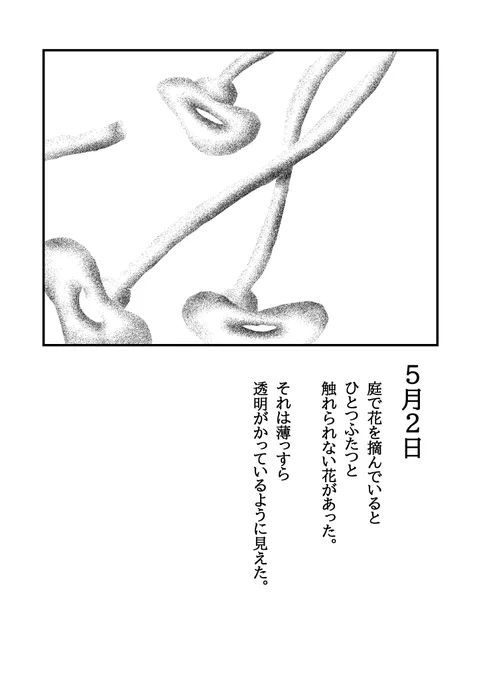 植物たちとそれが作る層について(1/4)
 #日記 #イラスト 