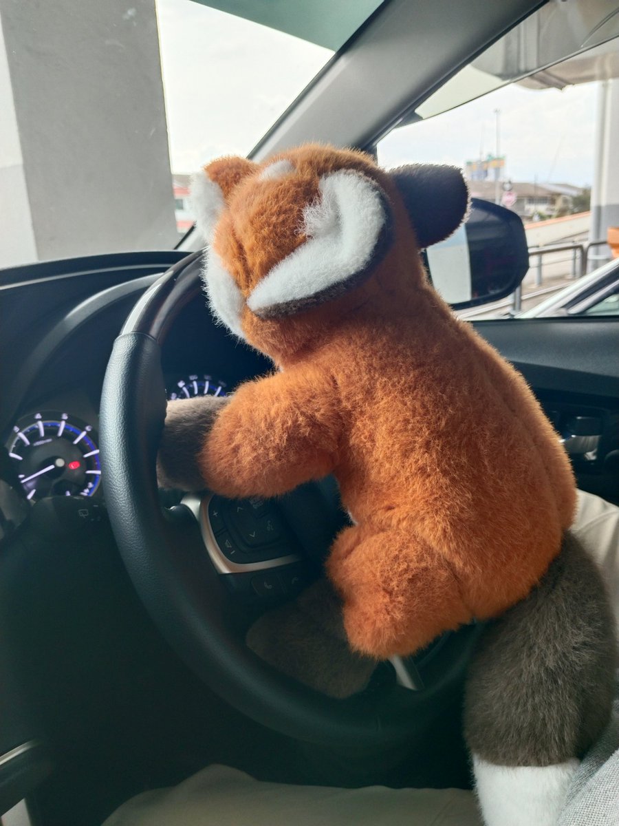 gdwt_gd's tweet image. I dont think his height allows him to drive legally 🦊