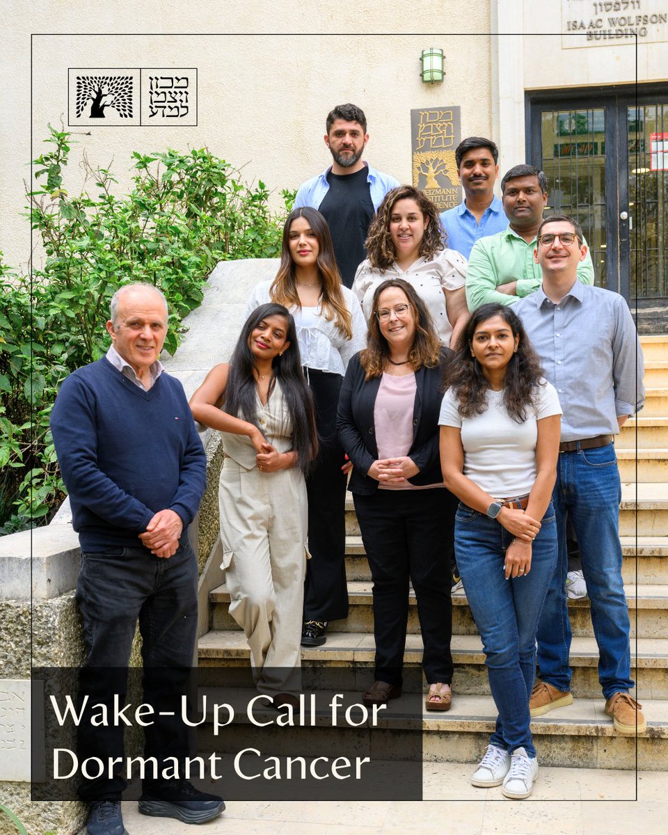 Researchers from Prof. Yosef Yarden’s lab, led by Dr. Diana Drago-Garcia, reveal how breast cancer cells enter a state of dormancy, remaining undetected for years, and why they suddenly wake up and metastasize &gt;&gt; bit.ly/wake-call-eng <a href="/scisignal/">Science Signaling</a>