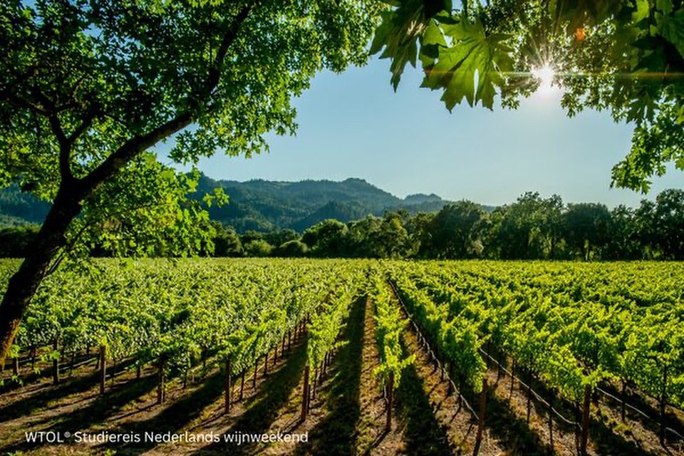 WTOL Academy tweet media