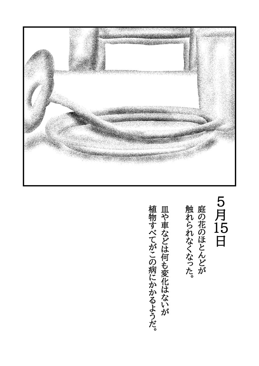 植物たちとそれが作る層について(2/4) 