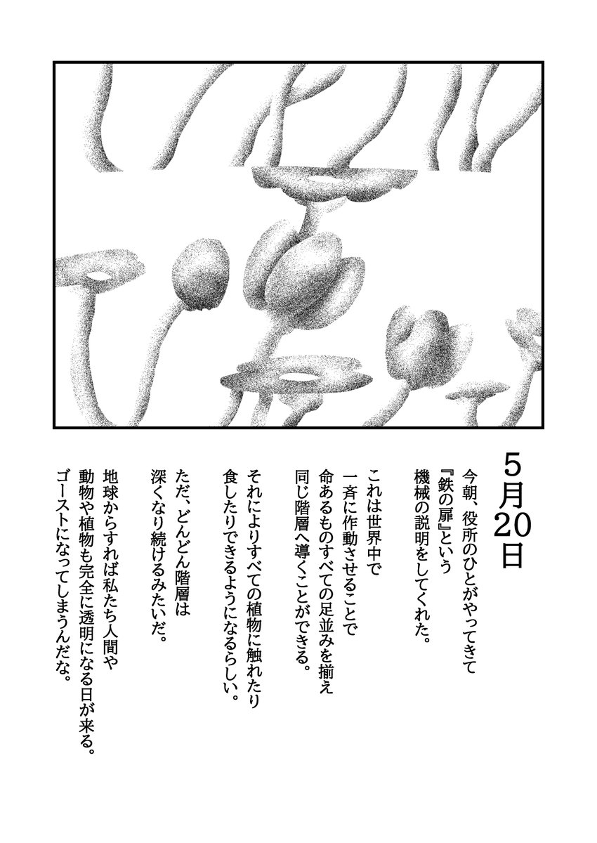 植物たちとそれが作る層について(2/4) 