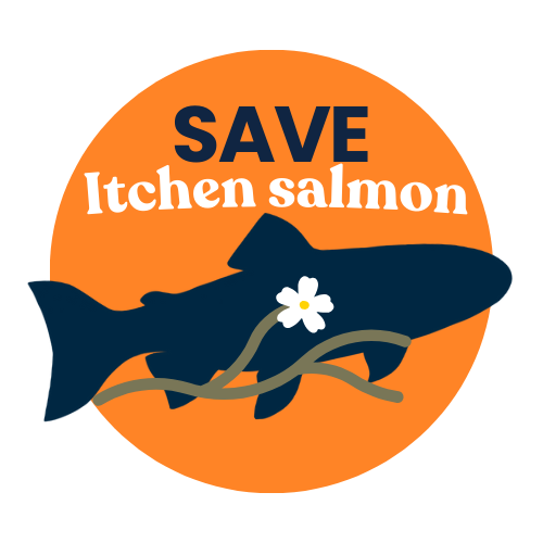 This week launches the Itchen Salmon Delivery Plan, a collaborative partnership aimed at tackling the many threats to this iconic species - restoring habitat, improving fish passage &amp; engaging communities. Spread the word! 🔗wessexrt.org.uk/SaveOurSalmon.… #saveitchensalmon