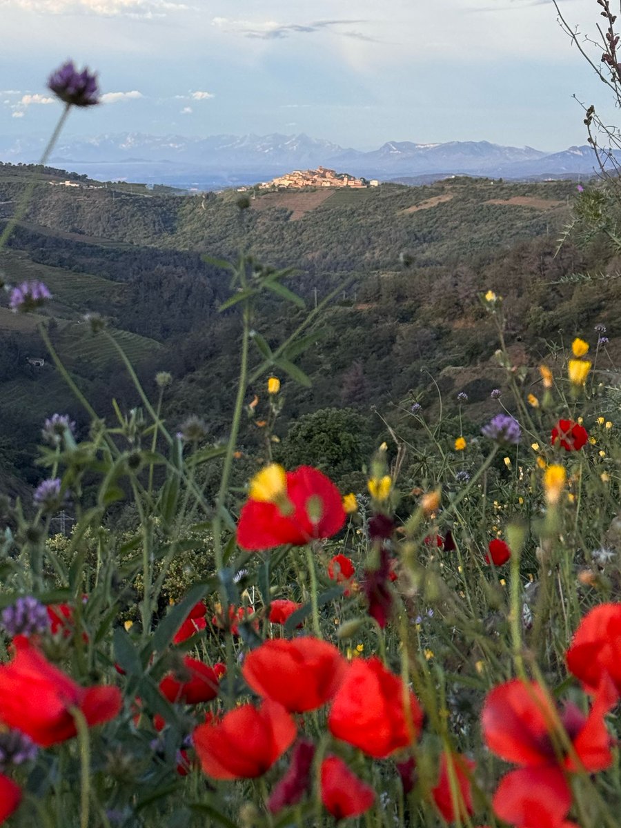 DOQ Priorat (@doqpriorat) on Twitter photo 🌹Sant Jordi arriba enguany carregat de flors 🌸🌼 als paratges i viles de la #DOQPriorat. Gaudiu d’un dels dies més bonics de l’any amb 📚🌹 i 🍷
ℹ️ Col·laboració 👇
<a href="/costadauradatur/">Costa Daurada</a> 
Generalitat de Catalunya
Fons Europeu de Desenvolupament Rural
PDR 2022
Wine in Moderation 🌹Sant Jordi arriba enguany carregat de flors 🌸🌼 als paratges i viles de la #DOQPriorat. Gaudiu d’un dels dies més bonics de l’any amb 📚🌹 i 🍷
ℹ️ Col·laboració 👇
<a href="/costadauradatur/">Costa Daurada</a> 
Generalitat de Catalunya
Fons Europeu de Desenvolupament Rural
PDR 2022
Wine in Moderation