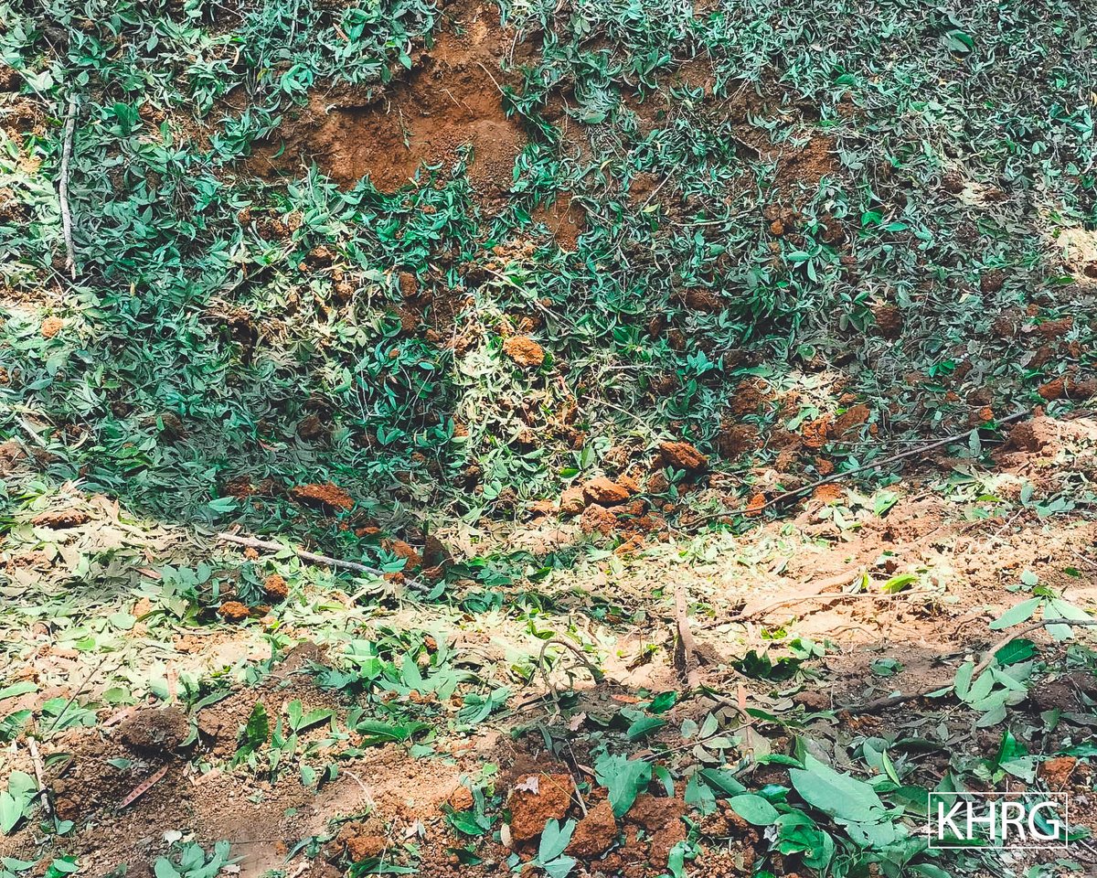 Taw Oo District – Shelling, Air Strike and Damages

On March 13, 2025, around 9:17 pm, SAC carried out an air strike on a civilian area in P’Shaw Loh village tract, Daw Hpah Hkoh Township, Taw Oo District. Two bombs were dropped and one detonated. The bombs landed on a villager’s
