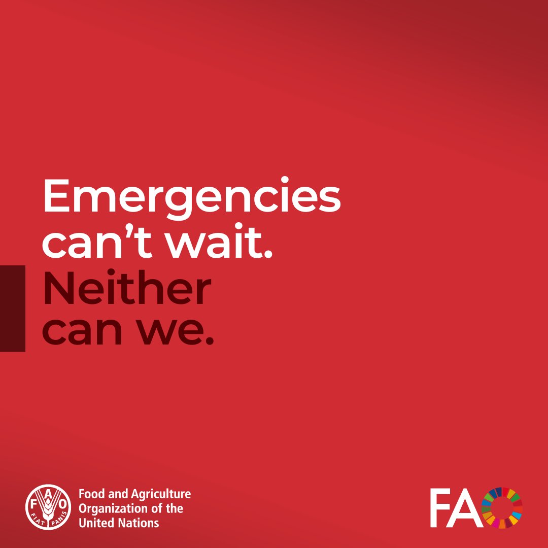 FAO in Emergencies (@faoemergencies) on Twitter photo Growing food right where it's needed most is:
☑️ Humanitarian
☑️ Cost-effective
☑️ Strategic
☑️ Long-lasting
☑️ Empowering
Emergencies can't wait and neither can we.
<a href="/FAO/">Food and Agriculture Organization</a> will continue to #InvestInHumanity.
bit.ly/3laWfbw Growing food right where it's needed most is:
☑️ Humanitarian
☑️ Cost-effective
☑️ Strategic
☑️ Long-lasting
☑️ Empowering
Emergencies can't wait and neither can we.
<a href="/FAO/">Food and Agriculture Organization</a> will continue to #InvestInHumanity.
bit.ly/3laWfbw