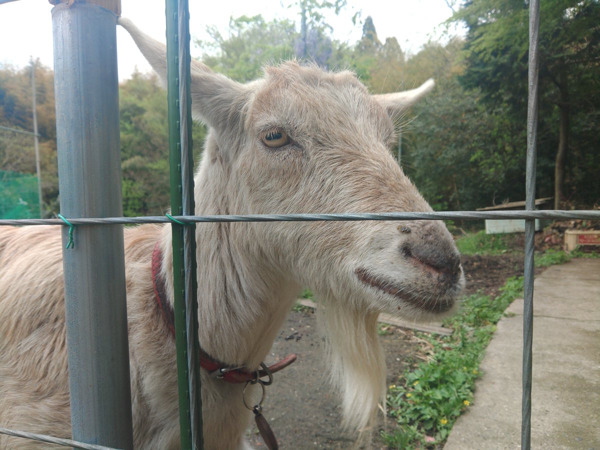 お世話になっております
ライダーハウス山陽さんなうです

ここ最近ジェットコースターめいた体調変化の波がスゴ～い
わしもキミみたく強靭な体に生まれたかっただよ