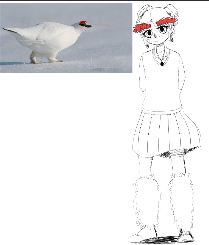 CheffCleff's tweet photo. I drew a Ptarmigan as a character, I've been thinking about doing this for a bit, drawing animals as a human just to get myself more comfortable with understanding what makes a recognizable trait. https://t.co/j9RRnFRGga