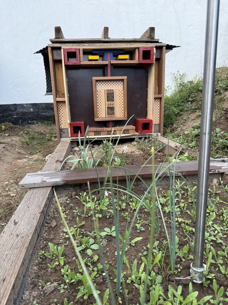 art4bees's tweet photo. Ein kleinen Schritten geht’s in Kronenburg voran https://t.co/k1fVMxiGRf