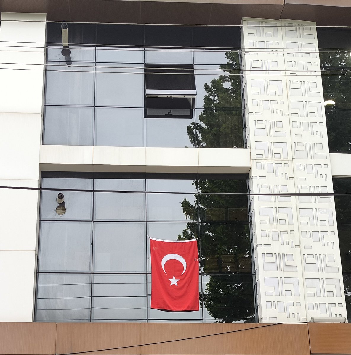 Dörtnala gelip Uzak Asya'dan
Akdeniz'e bir kısrak başı gibi uzanan bu memleket, bizim.

Yaşamak bir ağaç gibi tek ve hür ve bir orman gibi kardeşçesine
N.Hikmet