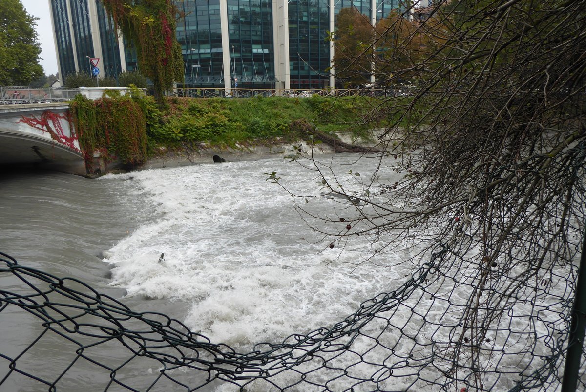 followthewabbit's tweet image. The Dora #meandering through Turin