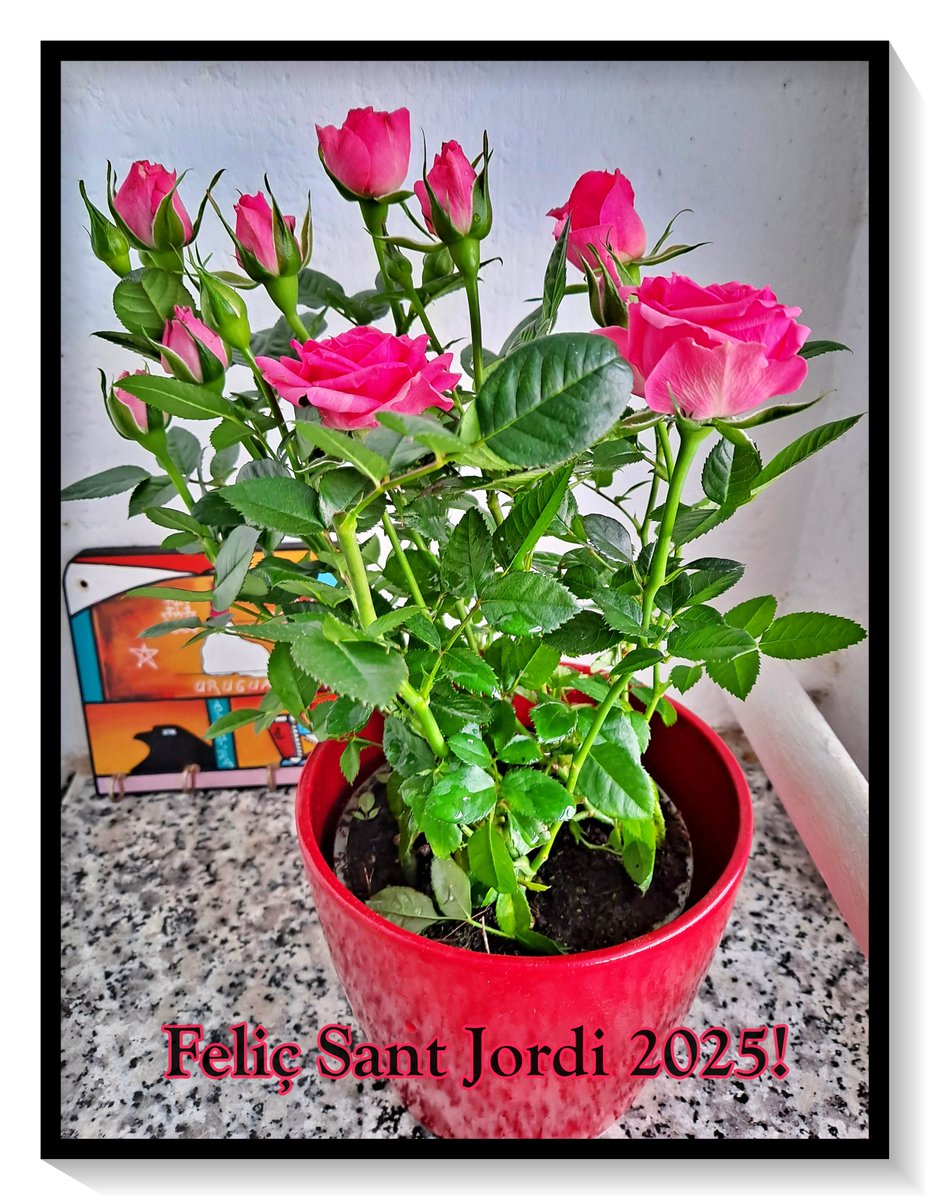 Carlos Vitesse🎙 tweet media