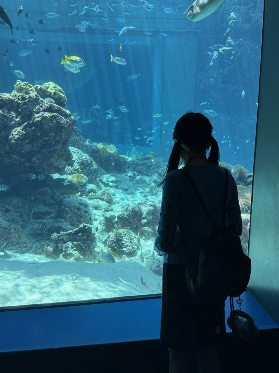 congming33's tweet image. Okinawa🌺