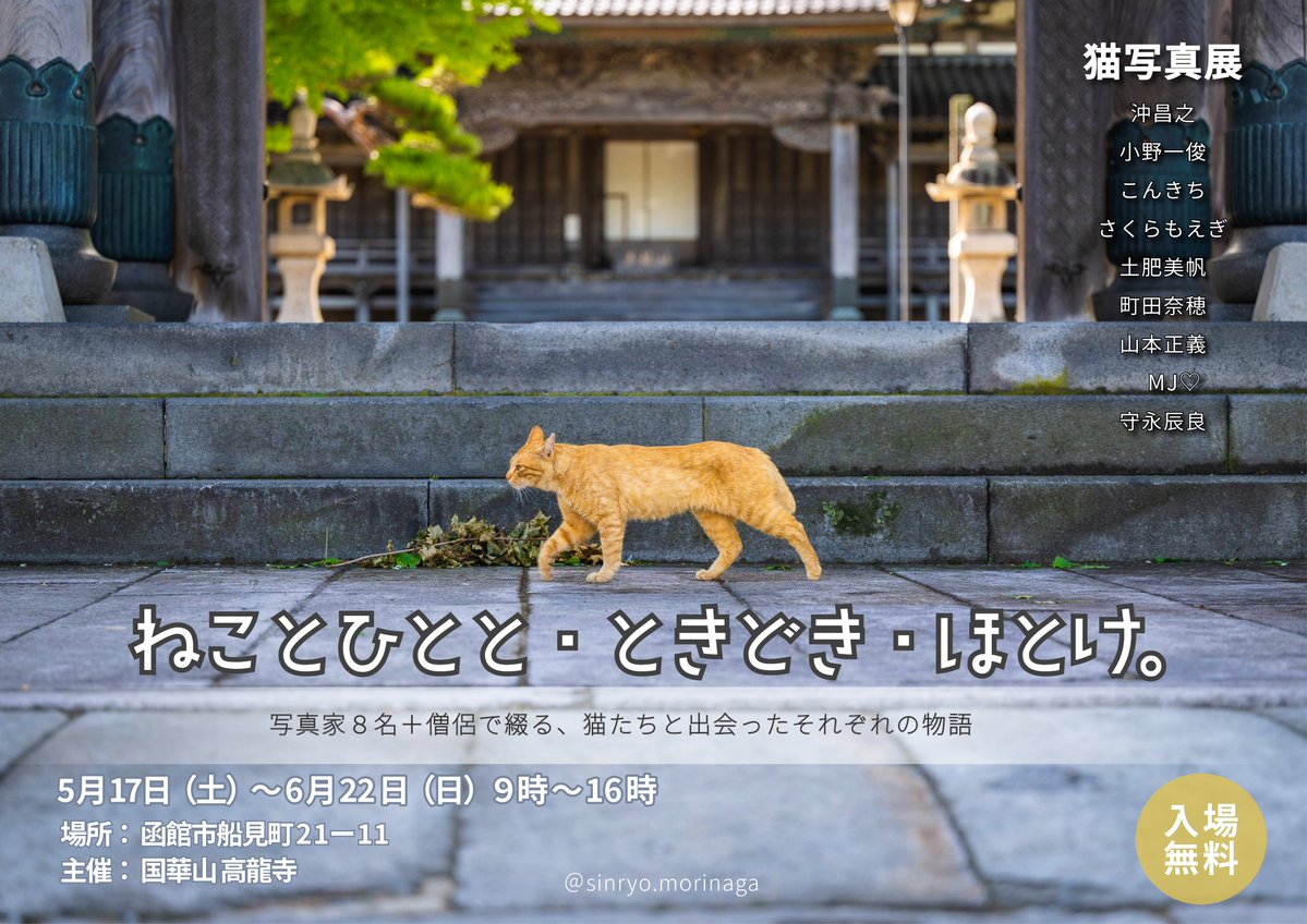 写真展のお知らせ

「ねことひとと・ときどき・ほとけ。」

写真家8名＋僧侶で綴る、猫たちと出会ったそれぞれの物語

癒しの先にあるのは、思いがけない深さ。
猫の佇まいが、私たちの心をゆっくり揺らします。

5/17(土)〜6/22(日)
9:00〜16:00
函館市船見町21ー11
入場無料