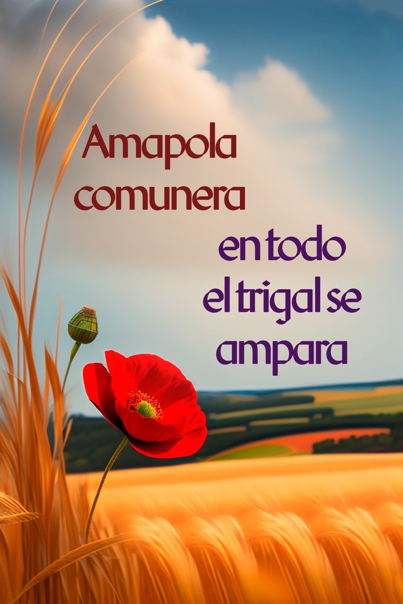 Ivanovich (@ivanovich379) on Twitter photo ¡Feliz Día de Castilla! 🏰❤️
También desde el Sur de la Cordillera: nos precede un legado castellano y comunero inolvidable.
"... levántese Castilla y tome su sitio ... pronunciando un formidable aquí estoy yo". 
Benito Pérez Galdós.
#23Abril 💜
#Castilla 😎 ¡Feliz Día de Castilla! 🏰❤️
También desde el Sur de la Cordillera: nos precede un legado castellano y comunero inolvidable.
"... levántese Castilla y tome su sitio ... pronunciando un formidable aquí estoy yo". 
Benito Pérez Galdós.
#23Abril 💜
#Castilla 😎