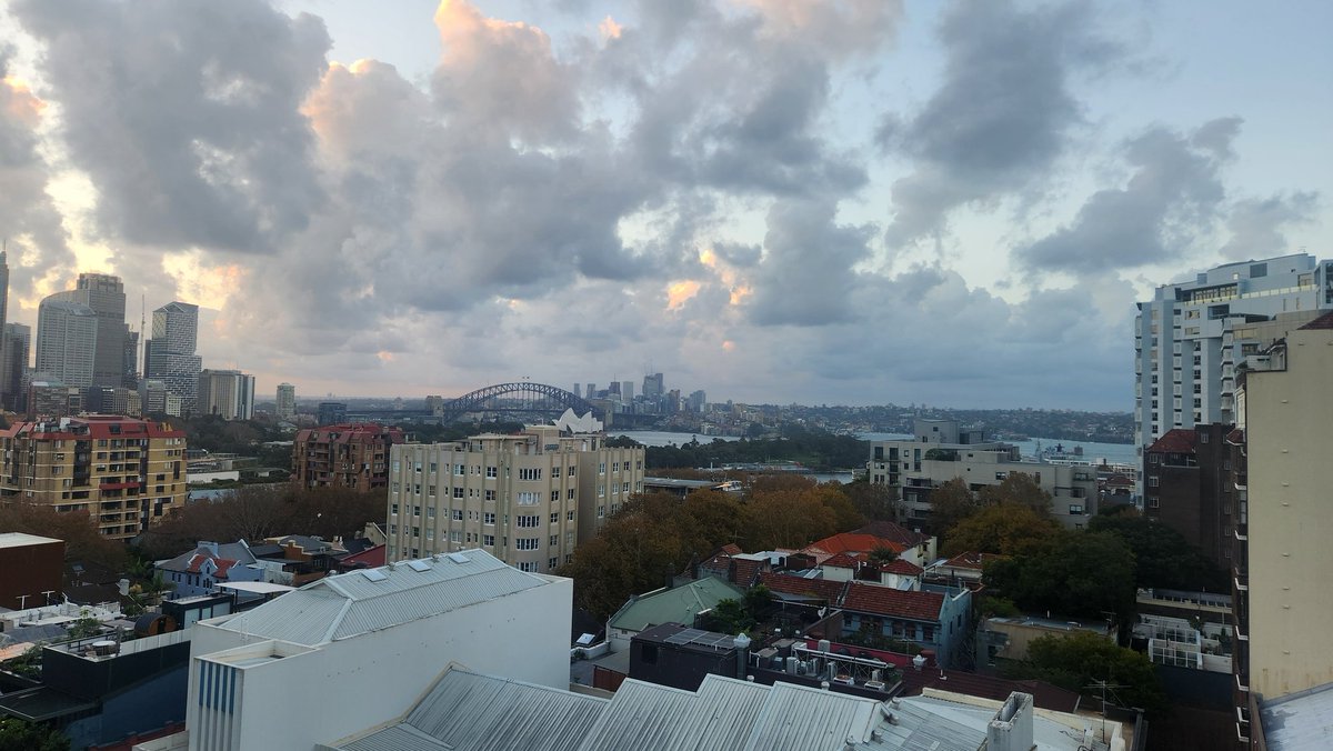 QLDSusanAustin tweet media