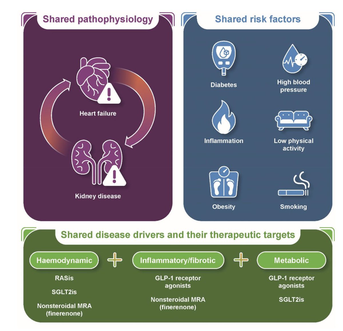 Prof Kamlesh Khunti (@kamleshkhunti) on Twitter photo Our review
The interplay between heart failure and chronic kidney disease
with <a href="/dranulala/">Anu Lala-Trindade</a> and Adeera Levin
…ubs.pericles-prod.literatumonline.com/doi/10.1111/do… Our review
The interplay between heart failure and chronic kidney disease
with <a href="/dranulala/">Anu Lala-Trindade</a> and Adeera Levin
…ubs.pericles-prod.literatumonline.com/doi/10.1111/do…