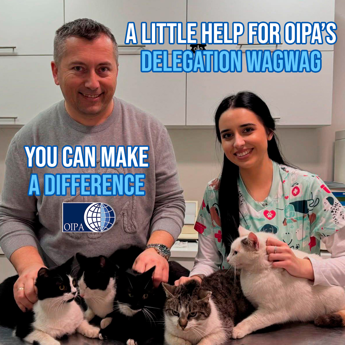 🐾Support WagWag’s “Silent Guardian” in Banja Luka caring for 100+ street cats. Help cover vet costs &amp; find them homes! 🐱💙
#AdoptDontShop 

Find more info here 👉oipa.org/international/…