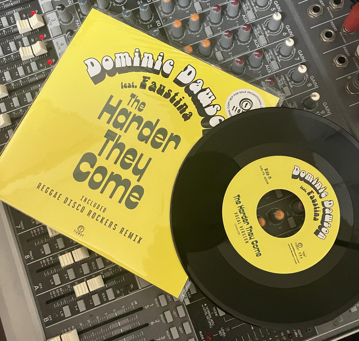 ジャパレゲ　レコード　Syndicate Gilrs / Flower syndicate girls / flower ジャパレゲ レコード