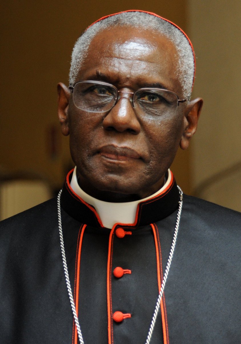 VictorMario50's tweet photo. The 'fundamental values' promoted by the UN are based on a rejection of God" - 

Robert Cardinal Sarah https://t.co/KkbtRGehHy