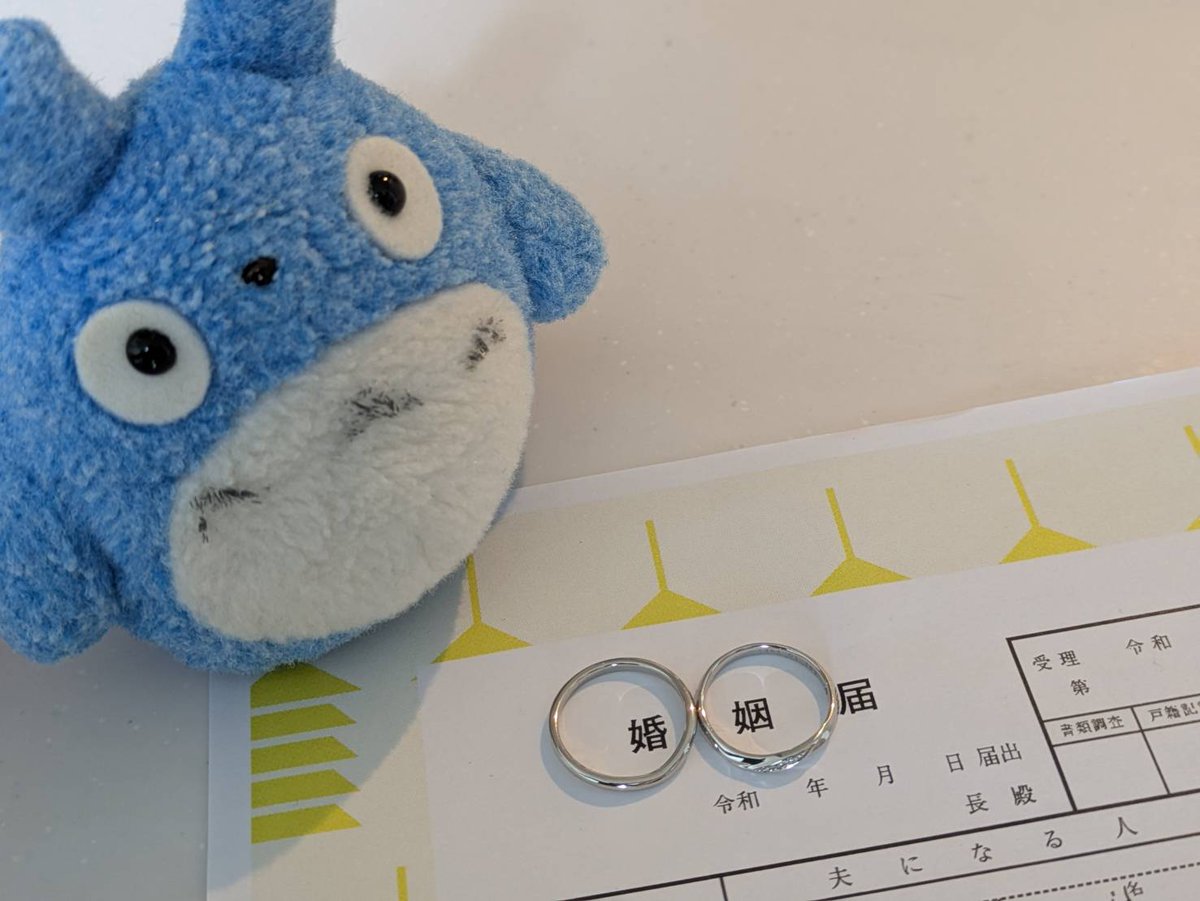 大阪鹿🦌(奈良鹿) tweet media