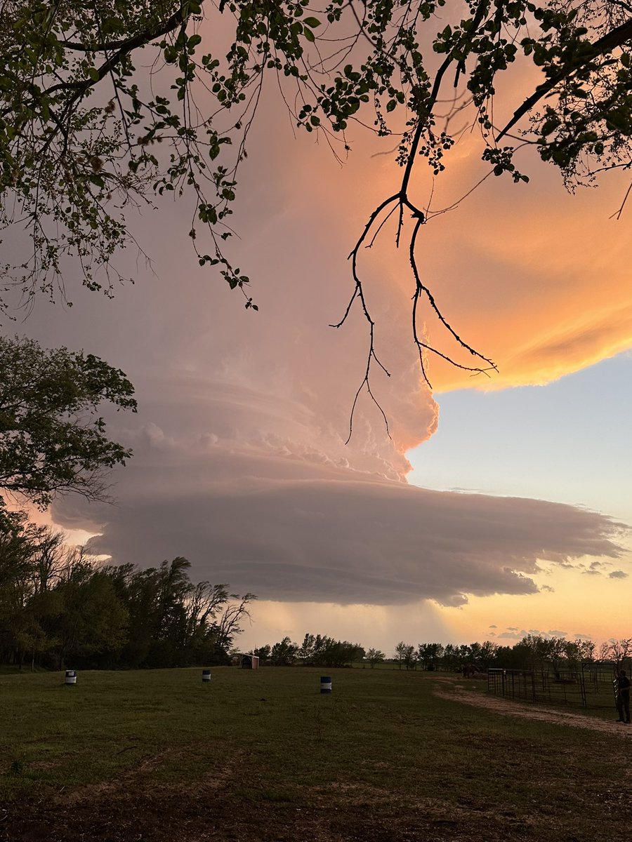 Paige Hill tweet media