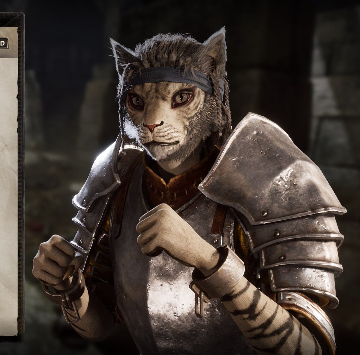 so, despite my initial concerns, you can still cook up a relatively cute cat in oblivion remake. 

thanks todd howard 🙏