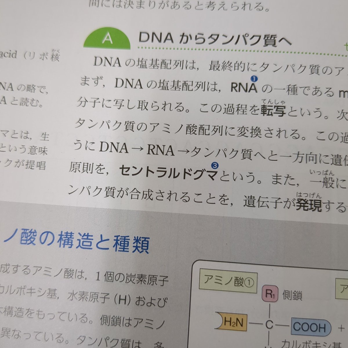 これを見てビクってなった