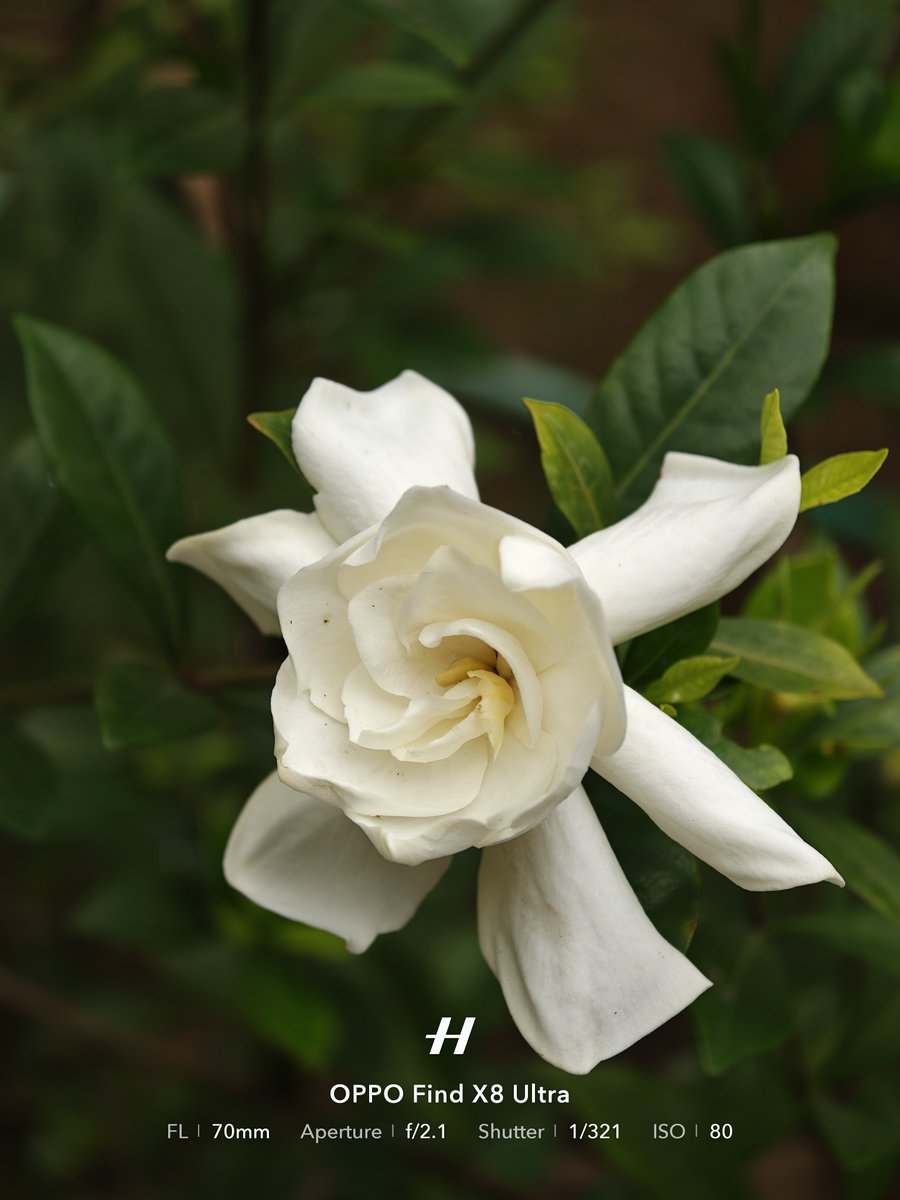 Anir Chakraborty tweet media