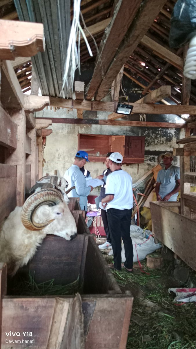 Sebagai Anggota DPRD Kabupaten Sumedang dari Fraksi PKB, melakukan kunjungan dan survei langsung ke peternak domba di Dusun Cahyasari, Desa Cileles.
<a href="/DPP_PKB/">DPP PKB</a> <a href="/cakimiNOW/">A Muhaimin Iskandar</a> <a href="/EmHasanuddin/">M Hasanuddin Wahid</a>  <a href="/dpwpkbjabar/">DPW PKB JABAR</a> <a href="/SyaifulHooda/">Syaiful Huda</a>