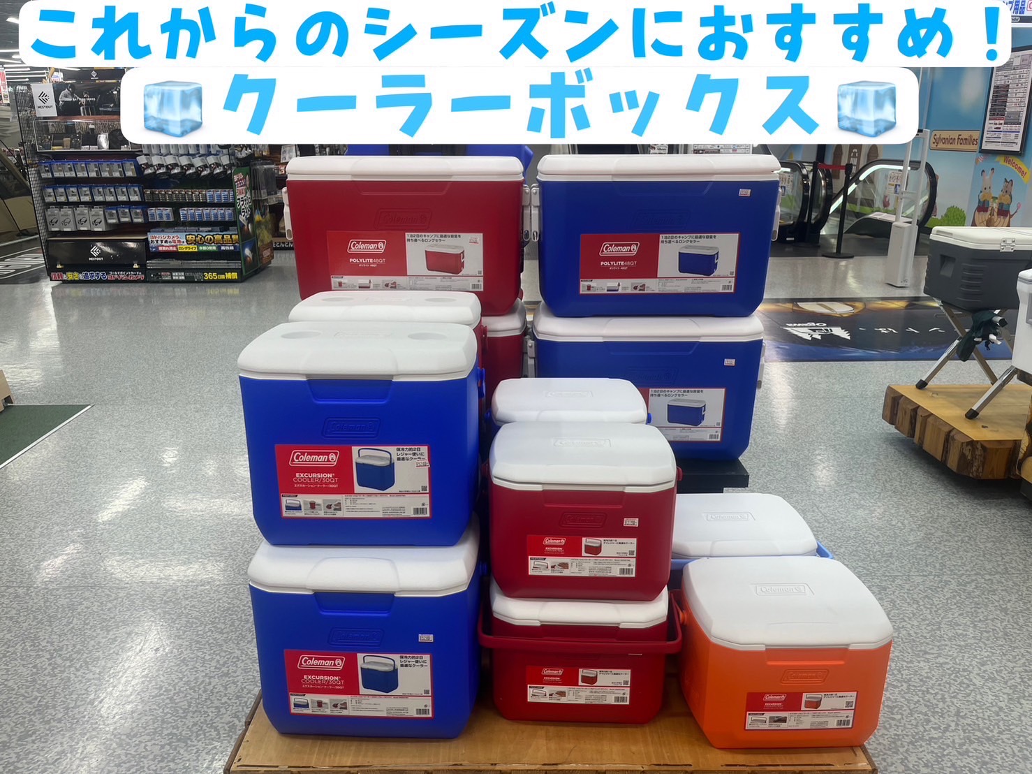 楽天市場】【在庫有り】【Coleman】コールマン チラー
